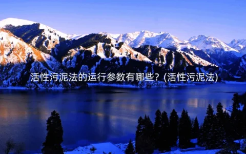 活性污泥法的运行参数有哪些？(活性污泥法)