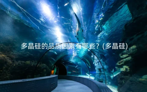 多晶硅的品质因素有哪些？(多晶硅)